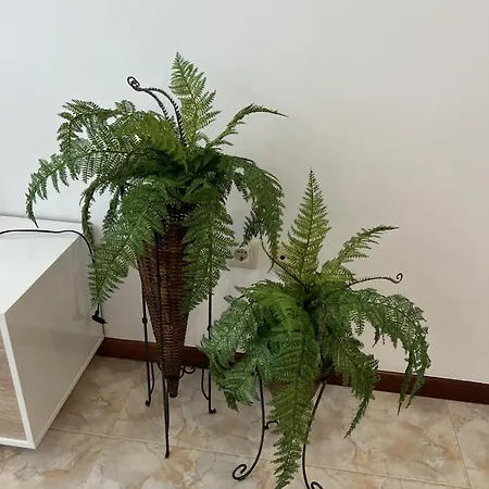 Apartmán Pintor *