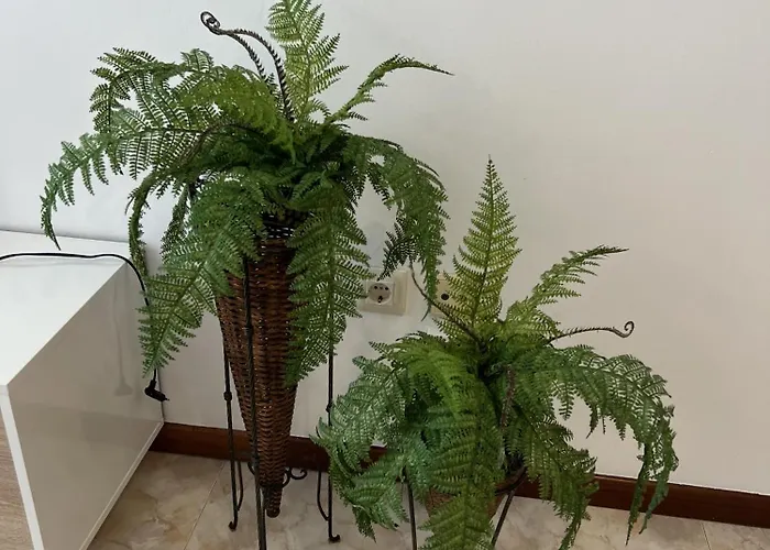 Appartement Pintor *